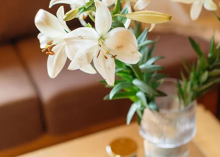 Sloneczny Taras 公寓 考斯赛力克